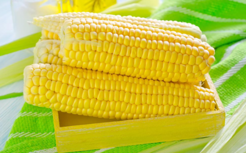 玉米期貨交易時間是幾點?日內(nèi)交易怎