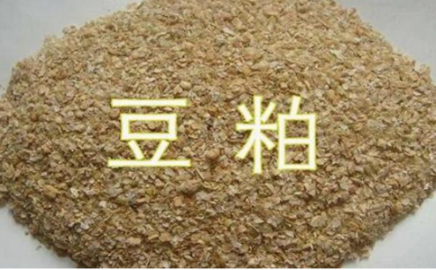 豆粕期貨是屬于熱門品種嗎？豆粕開