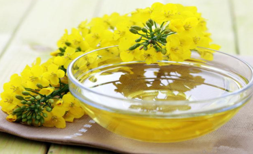 菜油期貨手續(xù)費標準，怎么降低菜油