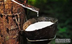 橡膠上漲仍可期，焦炭期現(xiàn)聯(lián)動(dòng)，向