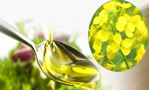 菜粕期貨買入手續(xù)費(fèi)支出額度低嗎？