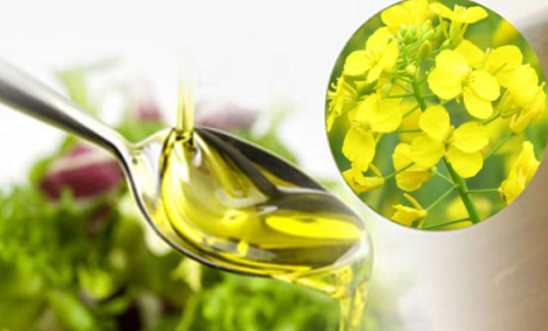 怎樣查菜油期貨價格？菜油期貨保證