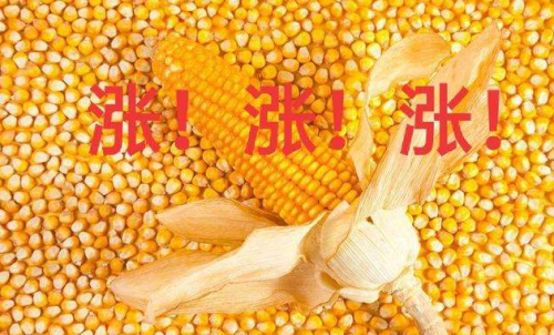 玉米期貨開戶要驗(yàn)資嗎？為何不能買