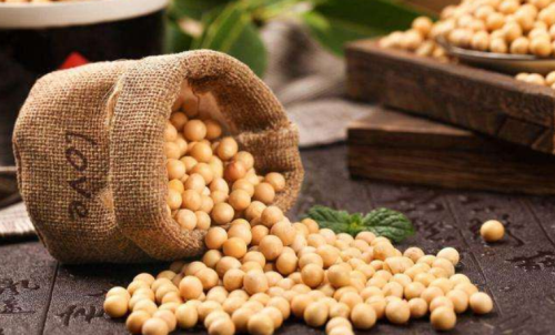 什么是豆粕期貨？豆粕期貨標(biāo)的物介