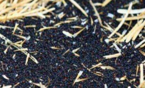 新手計(jì)算菜粕期貨的手續(xù)費(fèi)簡單嗎？