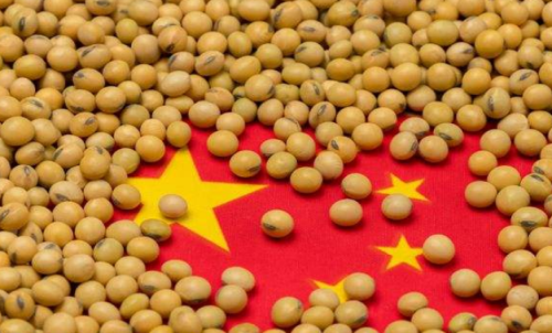 期貨本金虧完了會(huì)怎么樣？還需要加