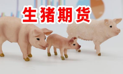 生豬期貨最新交易合約標準規(guī)則分享