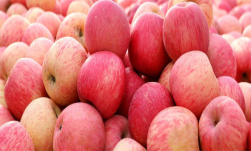 蘋果期貨是什么？怎樣交易蘋果期貨