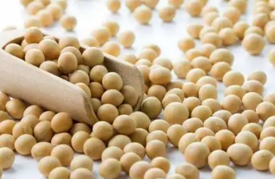 交易一手豆二期貨成本是多少？豆二